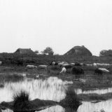 23-de-haar-tiendeveen-023